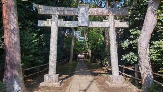 氷川神社（喜多見氷川神社）の参拝記録(まっちゃんさん)