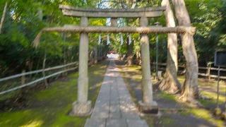 氷川神社（喜多見氷川神社）の参拝記録(まっちゃんさん)