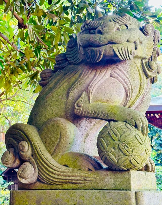 氷川神社（喜多見氷川神社）の参拝記録7