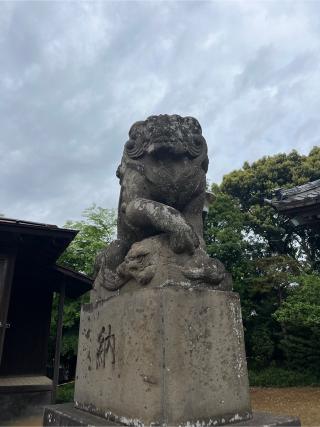 宇佐神社の参拝記録(⛩️🐍🐢まめ🐢🐍⛩️さん)