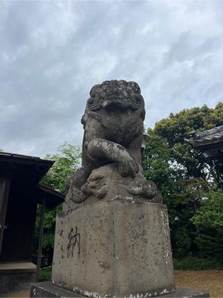 宇佐神社の参拝記録(⛩️🐉🐢まめ🐢🐉⛩️さん)