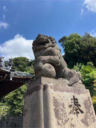 宇佐神社の参拝記録(⛩️🐍🐢まめ🐢🐍⛩️さん)