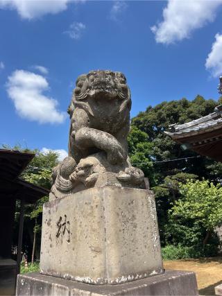宇佐神社の参拝記録(⛩️🐍🐢まめ🐢🐍⛩️さん)