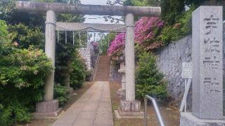 宇佐神社の参拝記録(まっちゃんさん)