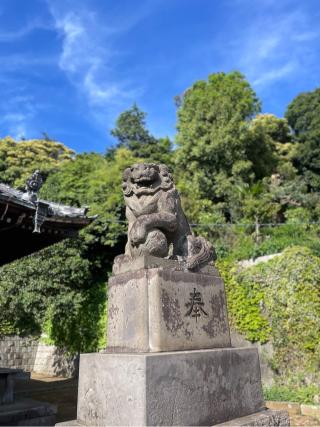 宇佐神社の参拝記録(ハコさん)
