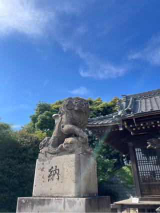 宇佐神社の参拝記録(ハコさん)