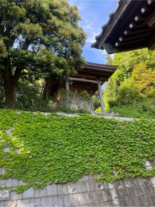 宇佐神社の参拝記録(ハコさん)
