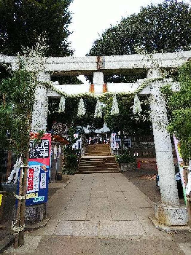 東京都世田谷区太子堂5-23-5 八幡神社（太子堂八幡神社）の写真18