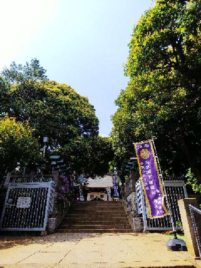 東京都世田谷区太子堂5-23-5 八幡神社（太子堂八幡神社）の写真56