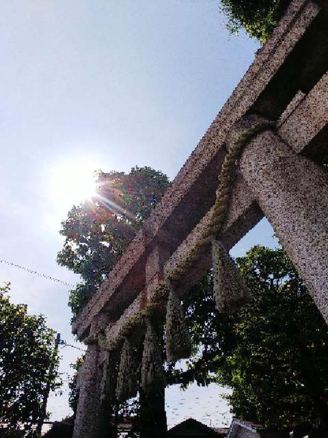 東京都世田谷区太子堂5-23-5 八幡神社（太子堂八幡神社）の写真57