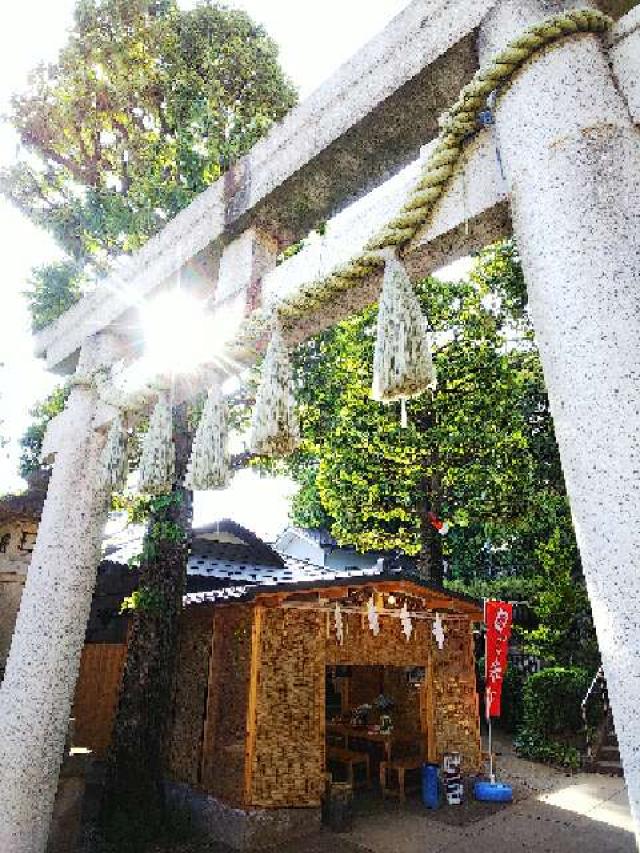 東京都世田谷区太子堂5-23-5 八幡神社（太子堂八幡神社）の写真68
