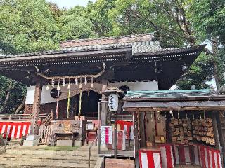 八幡神社（太子堂八幡神社）の参拝記録(まーさんさん)