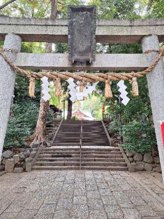 八幡神社（太子堂八幡神社）の参拝記録(まーさんさん)