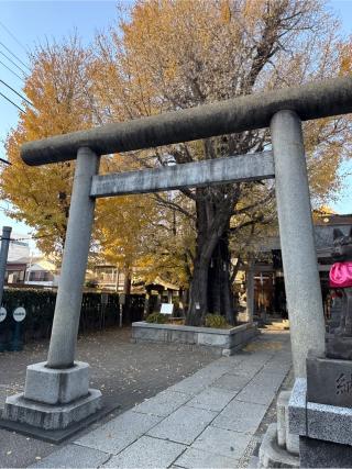飛木稲荷神社の参拝記録(⛩️🎠🐢まめ🐢🎠⛩️さん)