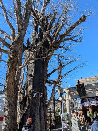 飛木稲荷神社の参拝記録(まーさんさん)