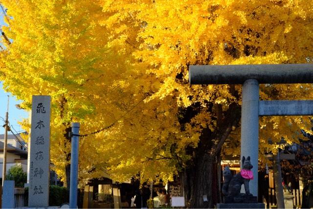 東京都墨田区押上2-39-6 飛木稲荷神社の写真10