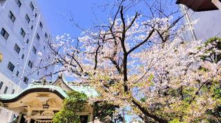 猿江神社の参拝記録(オトギリルさん)