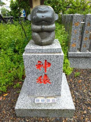 猿江神社の参拝記録(軍用猫さん)
