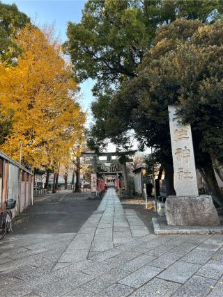 千住神社の参拝記録(みこりんさん)