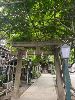 千住本氷川神社の参拝記録(⛩️🐍🐢まめ🐢🐍⛩️さん)