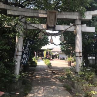 江北氷川神社の参拝記録(桑畑三十郎さん)