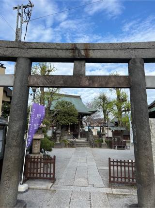 白髭神社（渋江白髭神社・客人大権現）の参拝記録(⛩️🐍🐢まめ🐢🐍⛩️さん)
