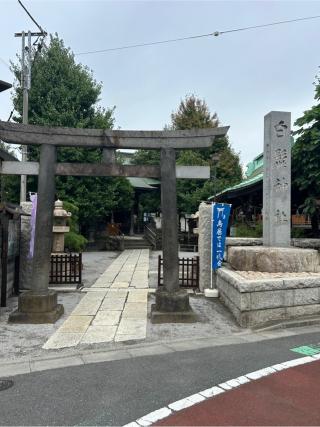 白髭神社（渋江白髭神社・客人大権現）の参拝記録(こうさん)