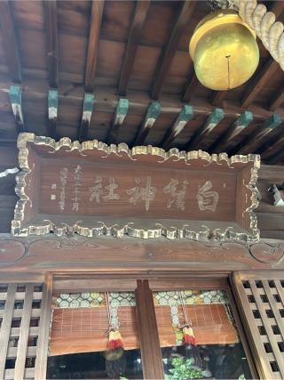 白髭神社（渋江白髭神社・客人大権現）の参拝記録(こうさん)