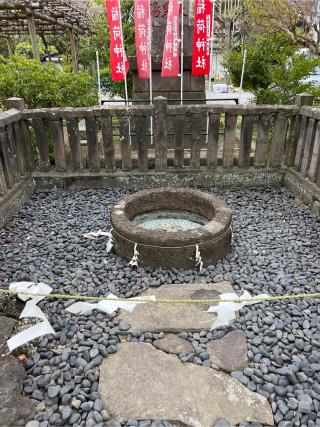 半田稲荷神社の参拝記録(⛩️🐉🐢まめ🐢🐉⛩️さん)