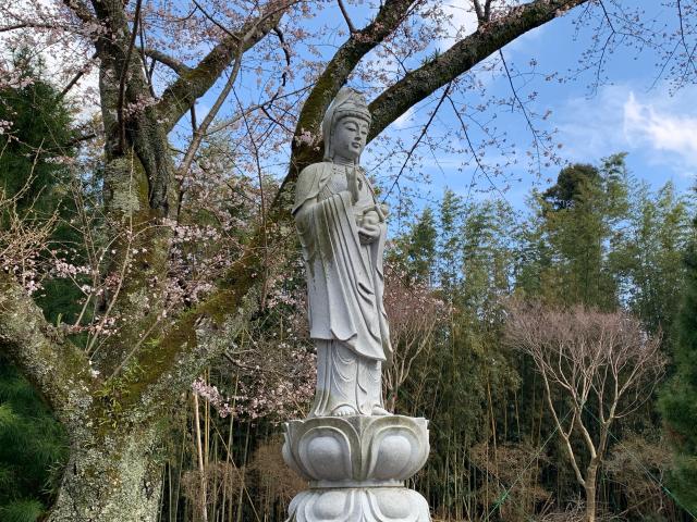 茨城県鉾田市梶山846 光福寺の写真2