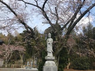 光福寺の参拝記録(さくらまんじゅうさん)