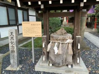 葛飾氷川神社の参拝記録(金髪しんちゃんさん)