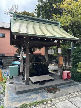 小岩神社の参拝記録(⛩️🎠🐢まめ🐢🎠⛩️さん)
