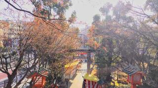 穴八幡宮の参拝記録(オトギリルさん)