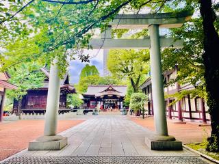 熊野神社（新宿十二社熊野神社）の参拝記録(shikigami_hさん)