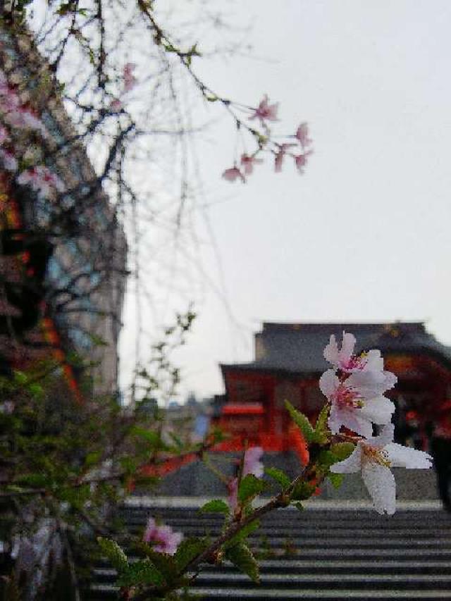 東京都新宿区新宿5-17-3 花園神社の写真27