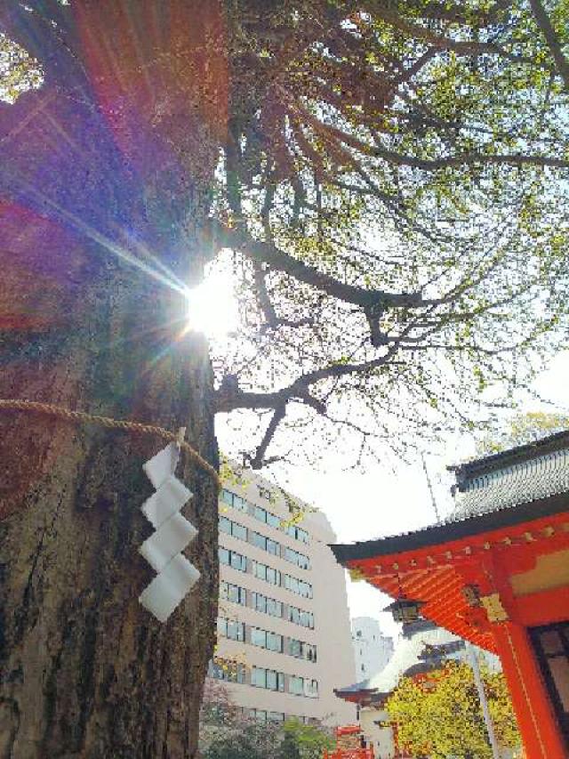 東京都新宿区新宿5-17-3 花園神社の写真59