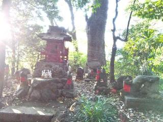 水稲荷神社の参拝記録(ゆきさん)