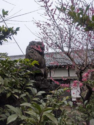 御霊神社（中井御霊神社）の参拝記録(はくすみさん)