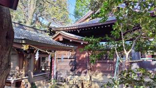 月見岡八幡神社の参拝記録(オトギリルさん)