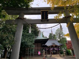 月見岡八幡神社の参拝記録(金髪しんちゃんさん)