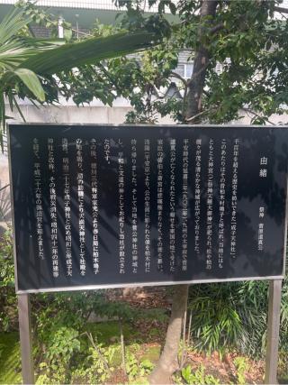 成子天神社の参拝記録(⛩️🐍🐢まめ🐢🐍⛩️さん)