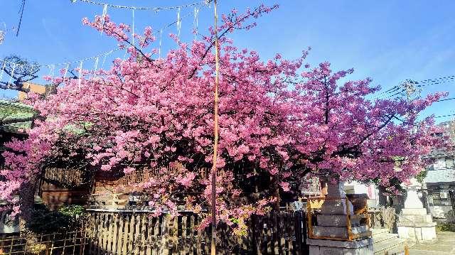 下落合氷川神社の参拝記録