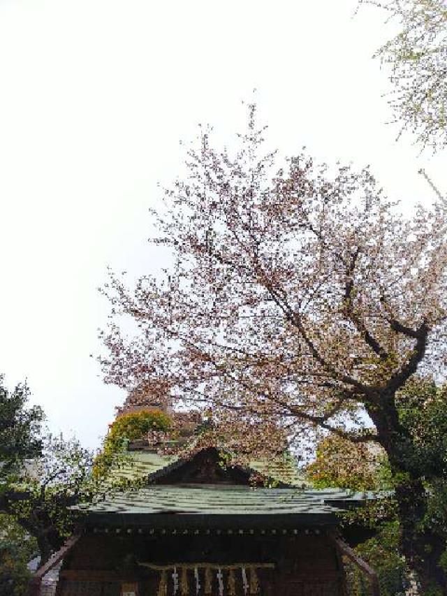 東京都豊島区南大塚3-49-1 大塚天祖神社の写真5