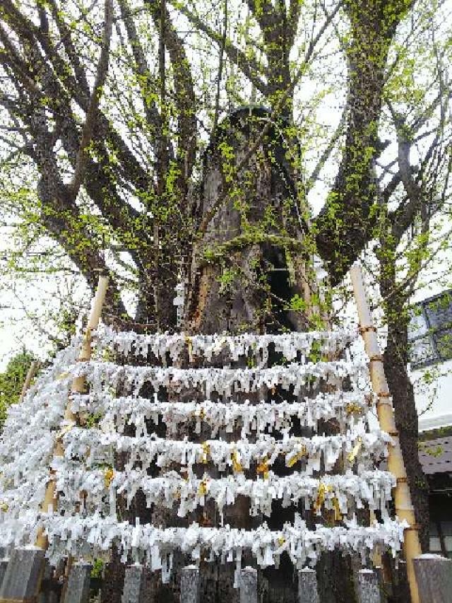 東京都豊島区南大塚3-49-1 大塚天祖神社の写真16