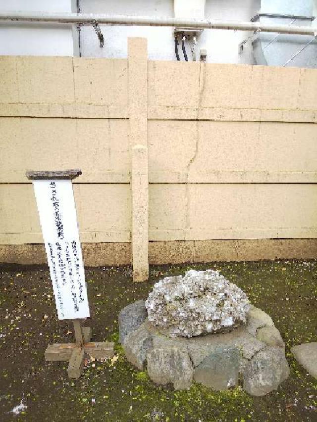 東京都豊島区南大塚3-49-1 大塚天祖神社の写真19
