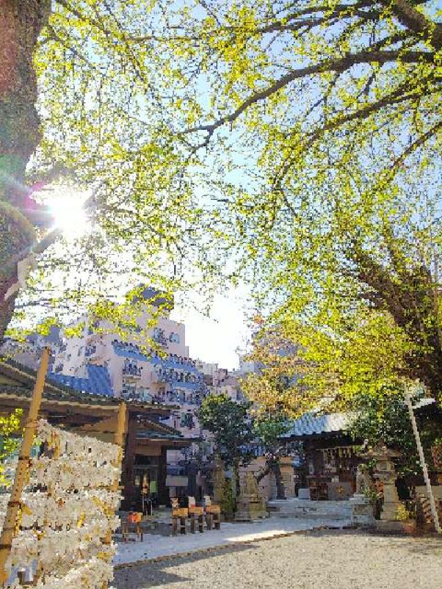 東京都豊島区南大塚3-49-1 大塚天祖神社の写真41