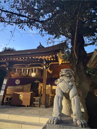 大塚天祖神社の参拝記録(マ　ノ　さん)