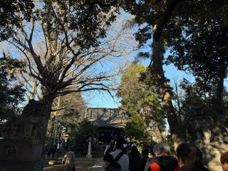 長崎神社の参拝記録(32hiroさん)