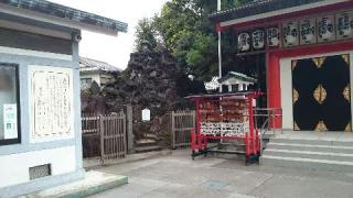 池袋氷川神社の参拝記録(金髪しんちゃんさん)